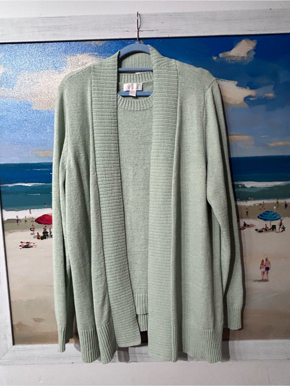 Kim Gravel XL Mint Cardigan Sweater -